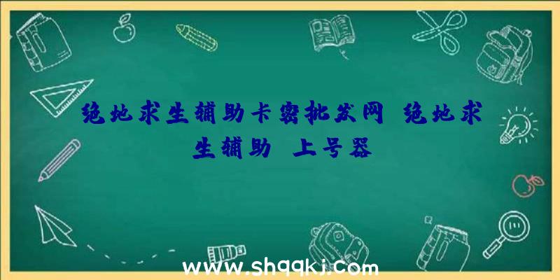 绝地求生辅助卡密批发网、绝地求生辅助